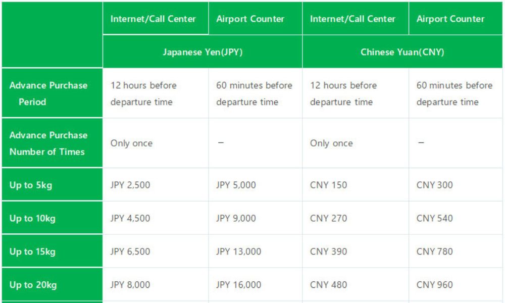 Spring Airlines Baggage Fees