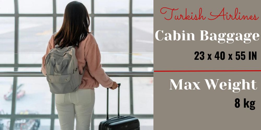 Extra baggage price online turkish airlines