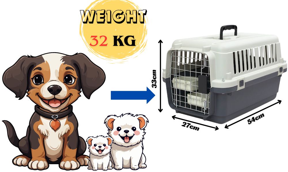 AVIH - Pets Travel Guidelines