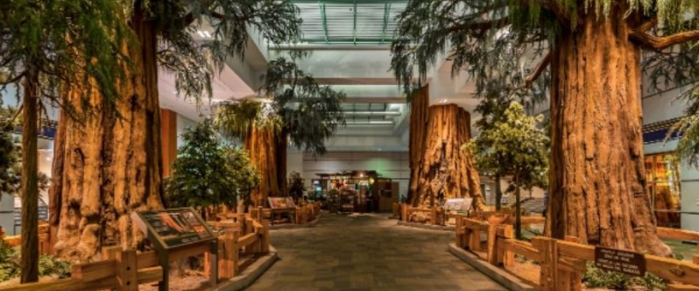 United Airlines FAT Terminal- Fresno Yosemite International Airport